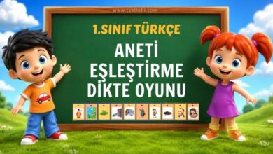 ANETİ EŞLEŞTİRME DİKTE OYUNU