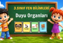 beş duyumuz