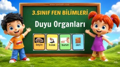 beş duyumuz
